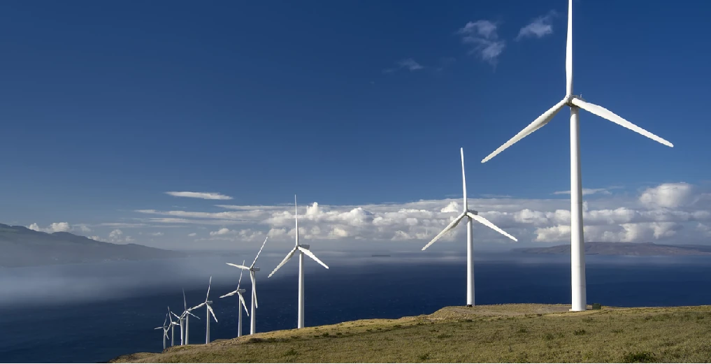 Green Development Benefits Thousands of Families
